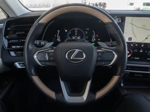 lexus-rx-450h-luxury-25i-phev