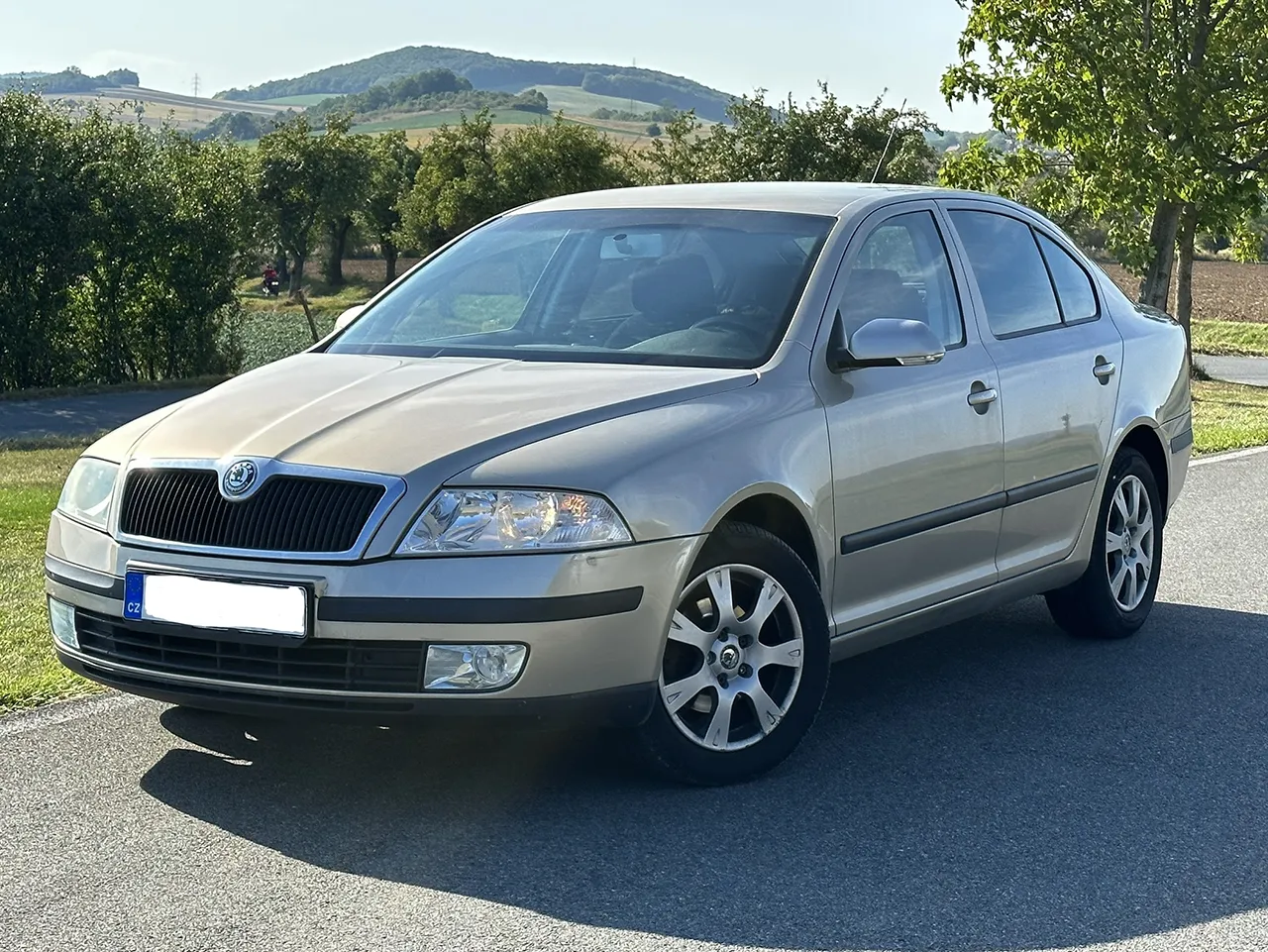 Škoda Octavia 2 1.9TDi